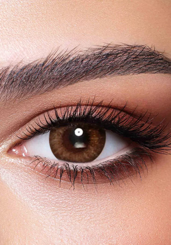 Bella Daily Lenses Almond Brown, 10 Pieces
