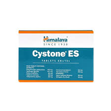 Himalaya Cystone ES 60 tablets